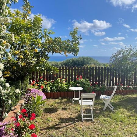Appartamento Lavigna Marina di Camerota Eksteriør billede