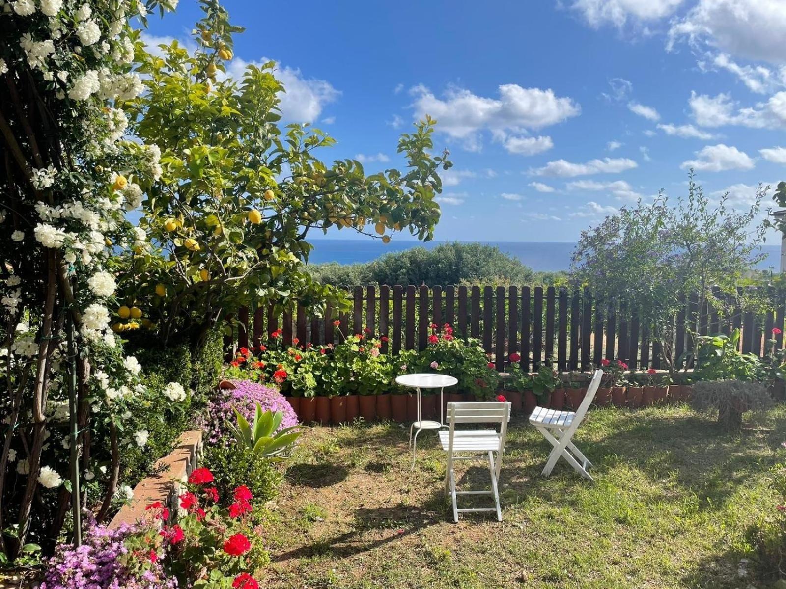 Appartamento Lavigna Marina di Camerota Eksteriør billede
